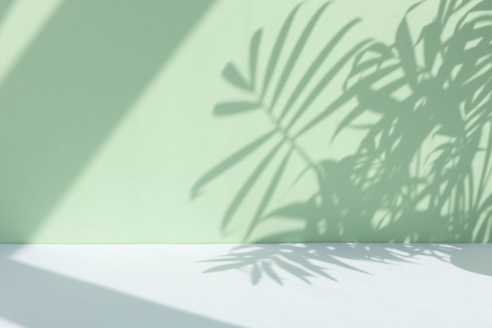 Premium podium with a shadow of tropical palm leaves on a pastel green wall and gray table. Showcase, display case.