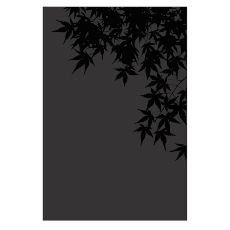 027.10769.82n3-protection-murale-erable-acier-noir-givre-serigraphie-noir-2