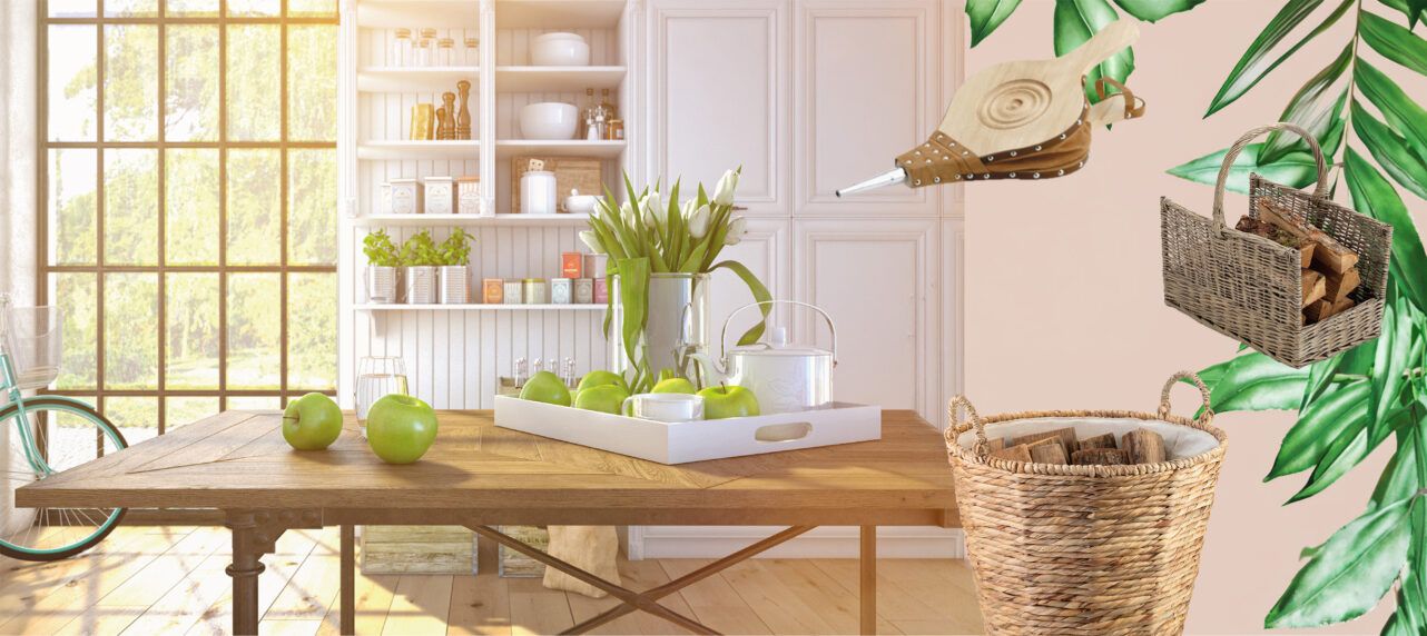 Nature Header Visuel