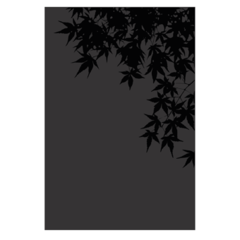 027.10769.82n3-protection-murale-erable-acier-noir-givre-serigraphie-noir-2