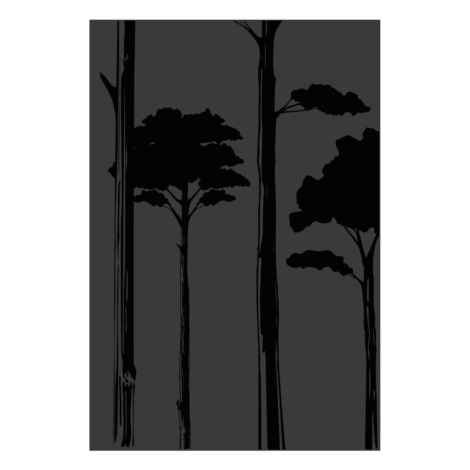 027.10825.82n3-protection-murale-canopee-basse-noir-verni-brillante
