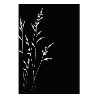 027.10609.80n3-protection-murale-champetre1