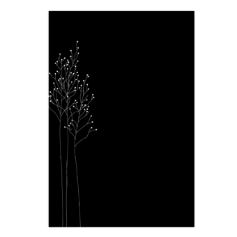 027.10677.82n3-myo-protection-murale-dixneuf