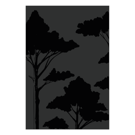027.10824.82n3-protection-murale-canopee-haute-noir-verni-brillante