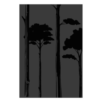 027.10825.82n3-protection-murale-canopee-basse-noir-verni-brillante