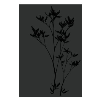 027.10827.82n3-protection-murale-jersey-noir-verni-brillante