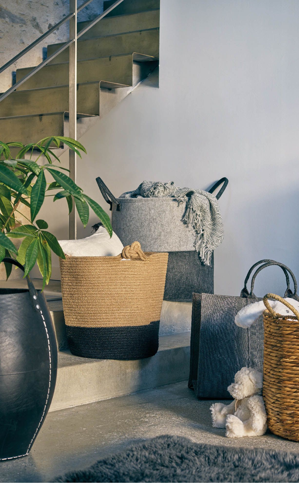 visuel site FICHE LISTE